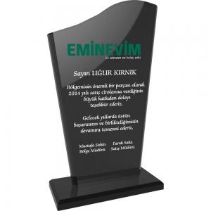 Kristal Plaket ( 12 x 21 cm )
