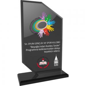 Kristal Plaket ( 12 x 21 cm )